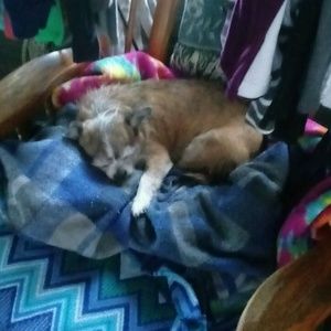 Meet your Posher, Cathy